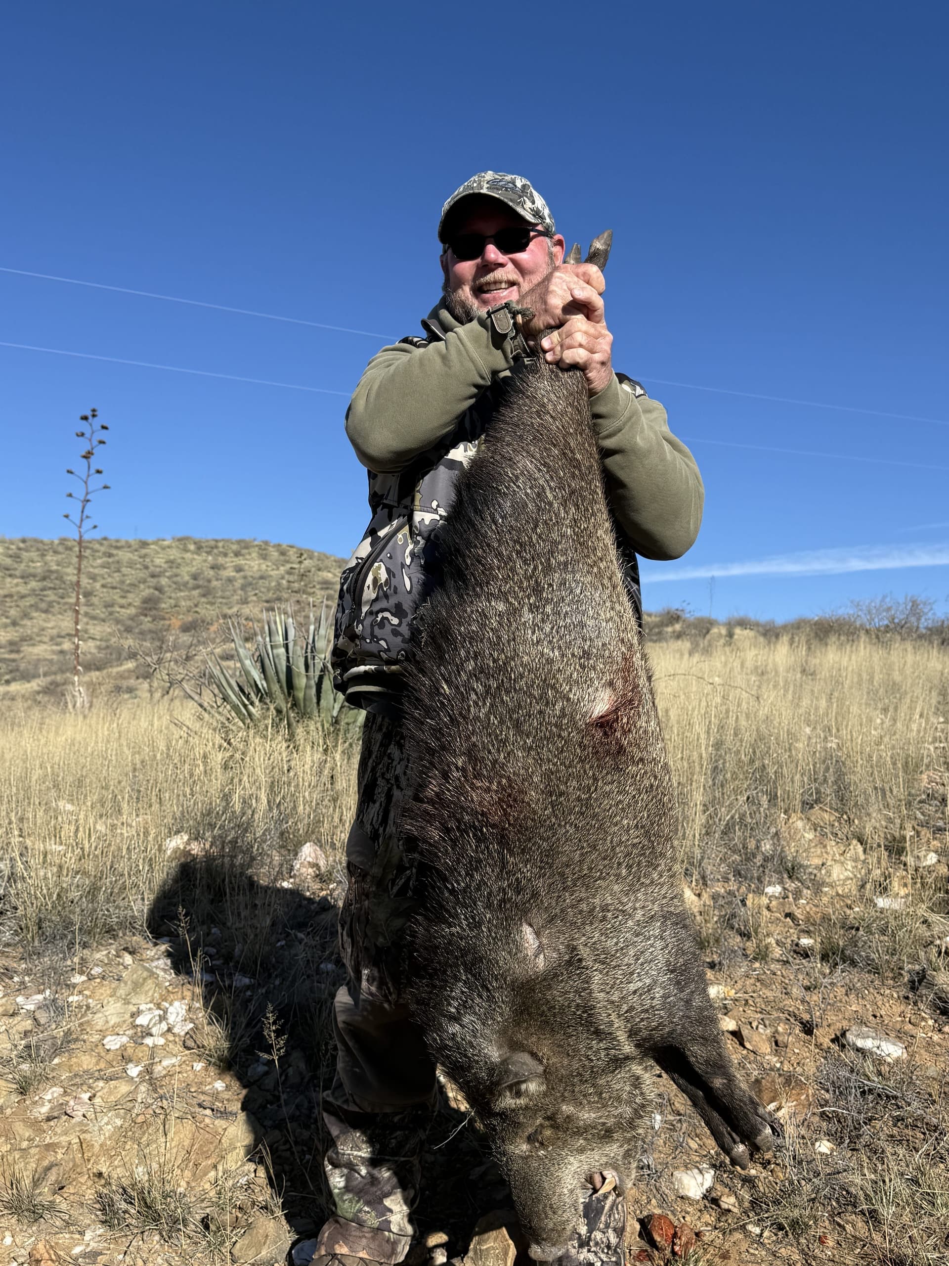 Javelina hunting photo 1 - Arizona hunting with AZ B and B Outfitters LLC