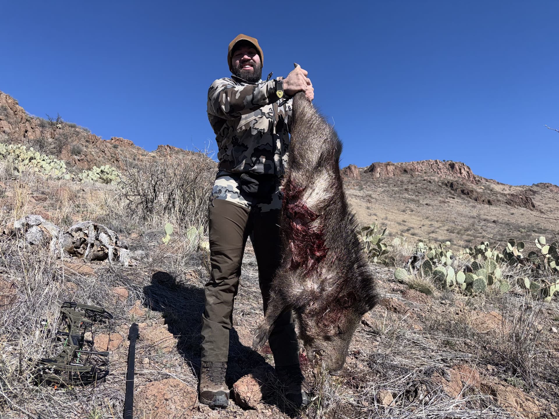 Javelina hunting photo 3 - Arizona hunting with AZ B and B Outfitters LLC