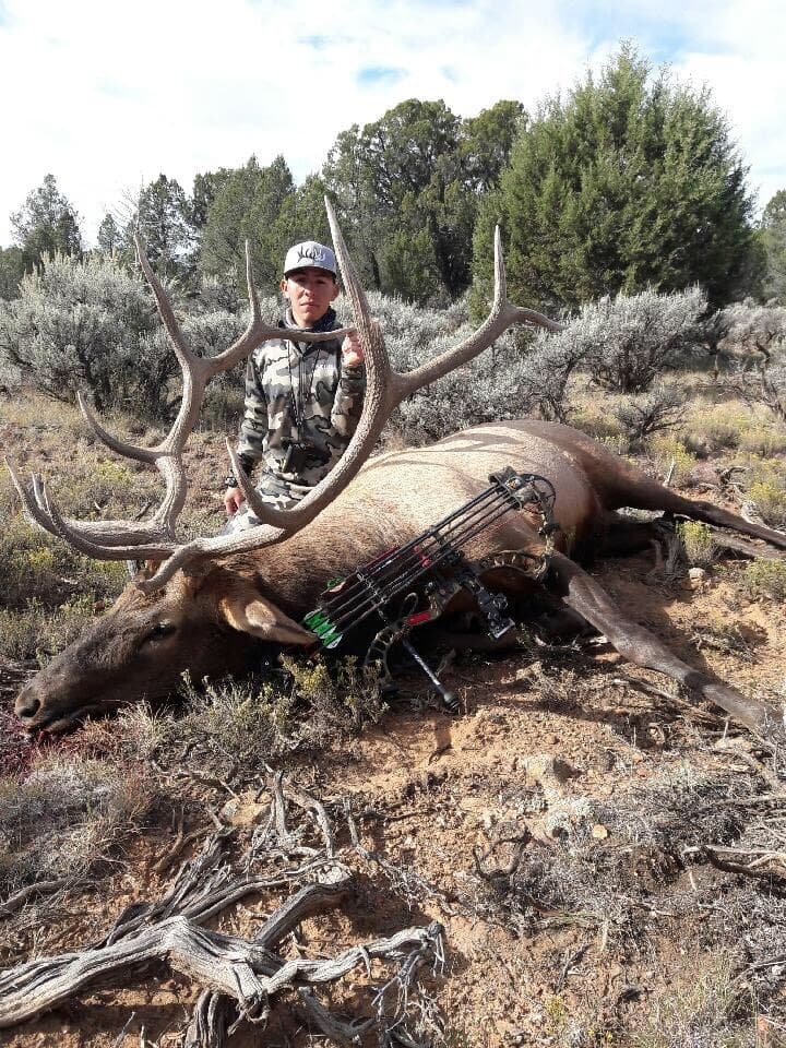 Elk