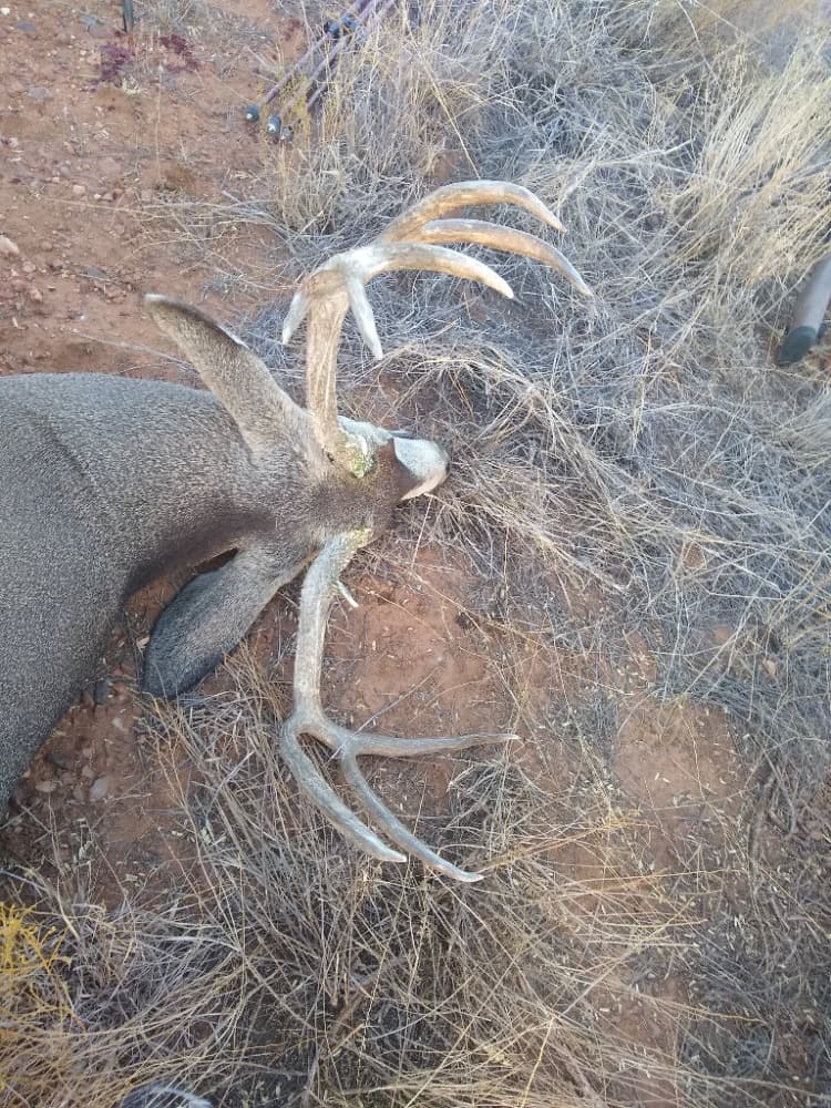 Mule deer hunting photo 3 - Arizona hunting with AZ B and B Outfitters LLC