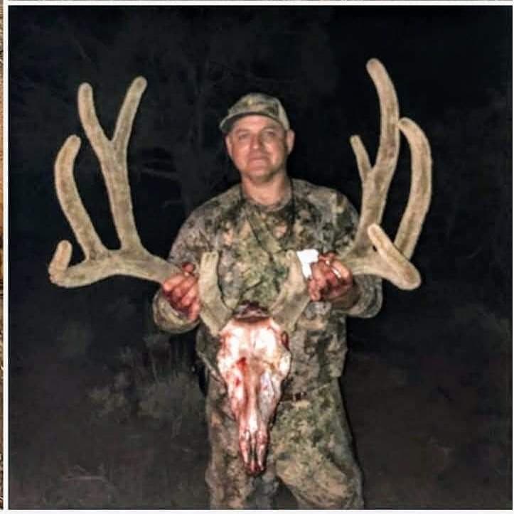 Mule Deer