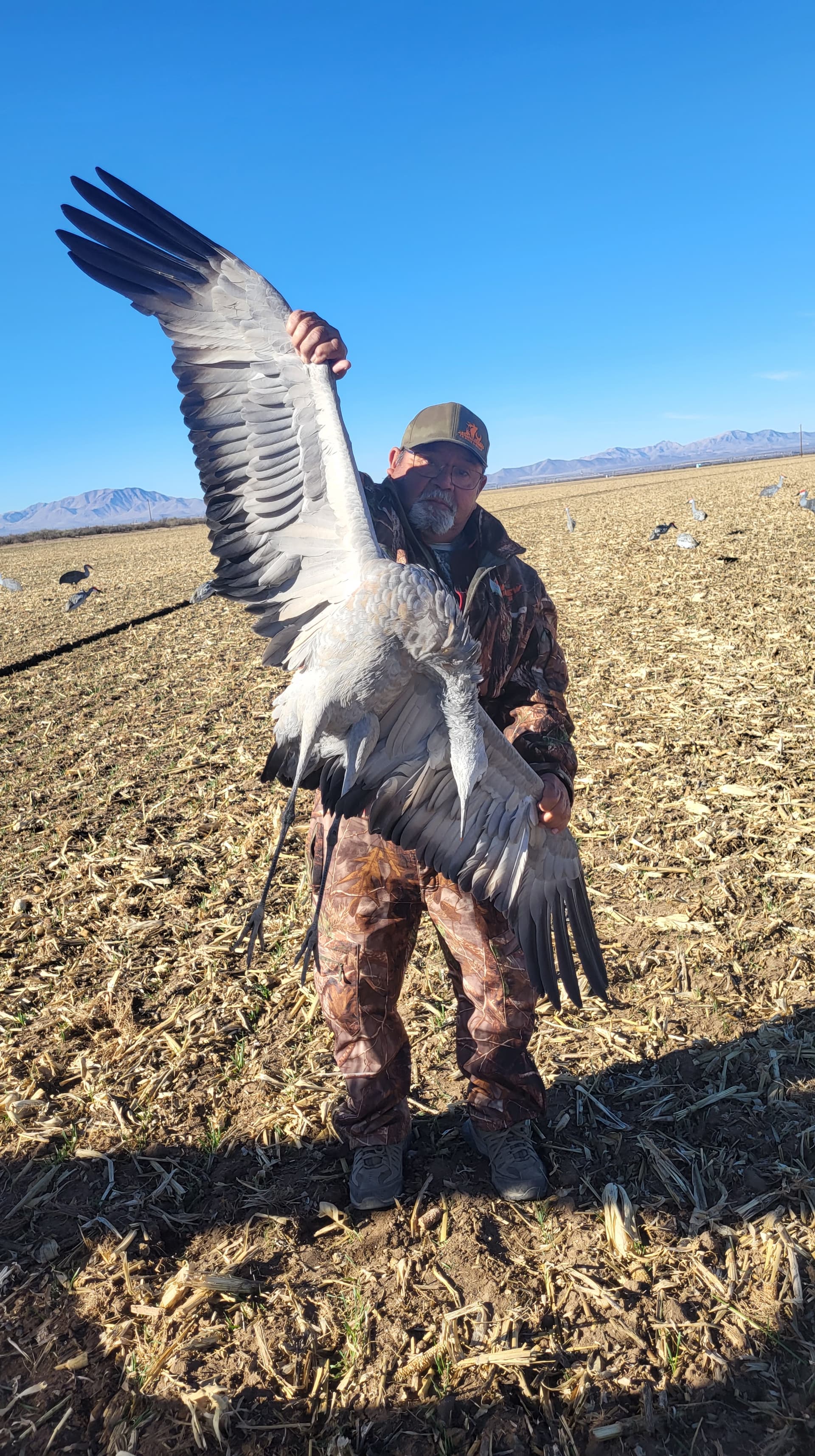 Sandhill crane hunting photo 12 - Arizona hunting with AZ B and B Outfitters LLC