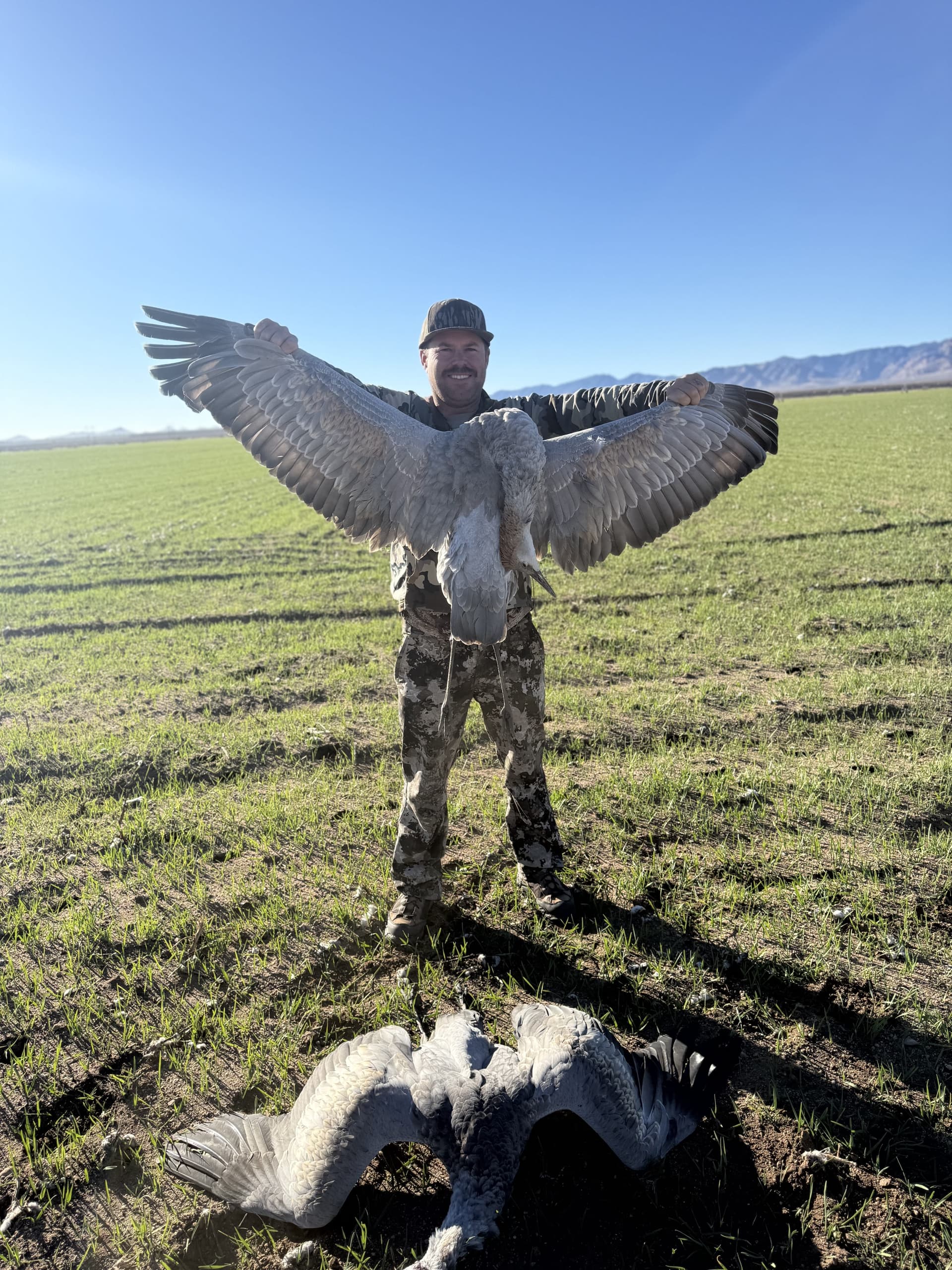 Sandhill crane hunting photo 3 - Arizona hunting with AZ B and B Outfitters LLC