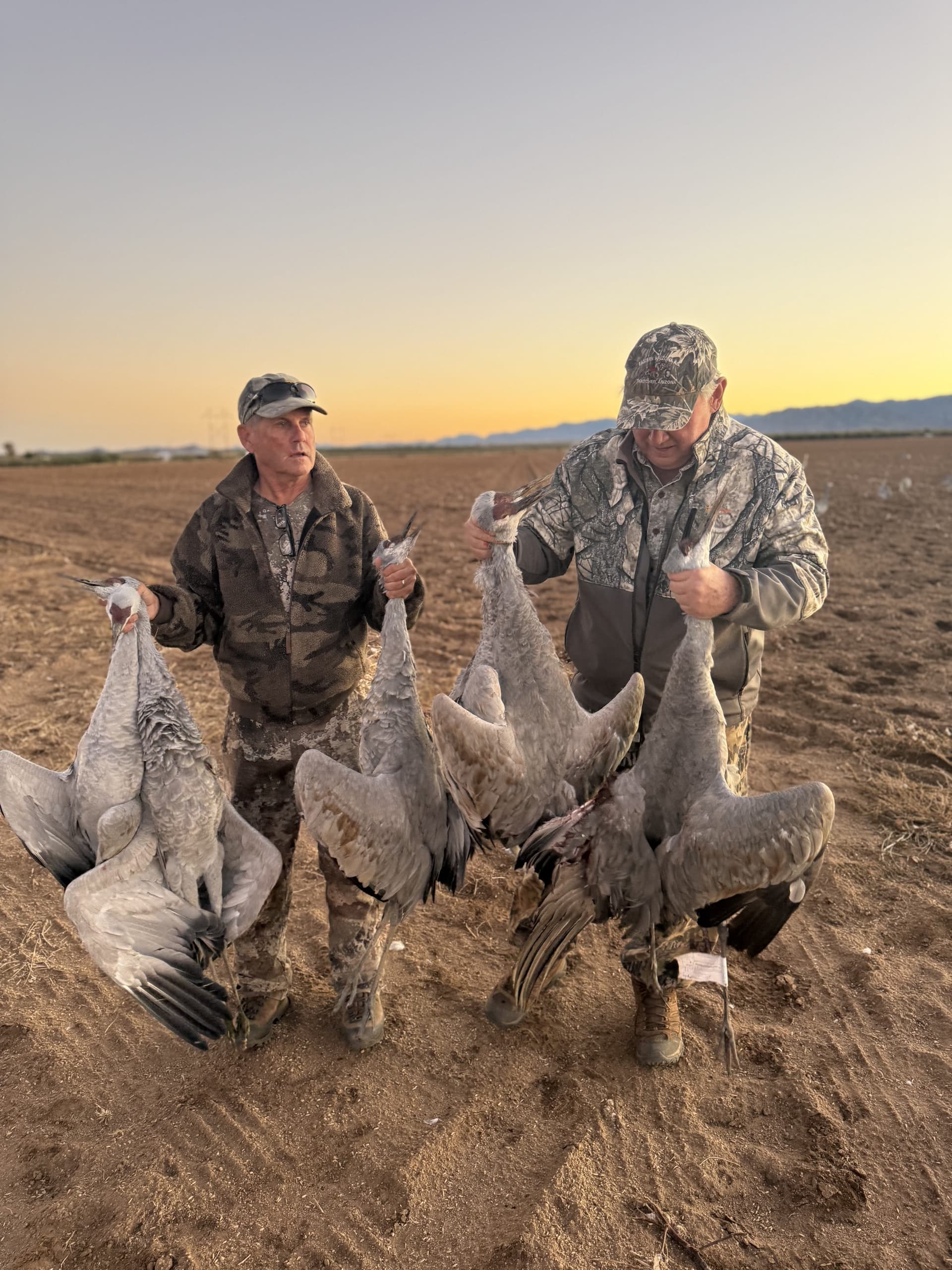 Sandhill crane hunting photo 5 - Arizona hunting with AZ B and B Outfitters LLC