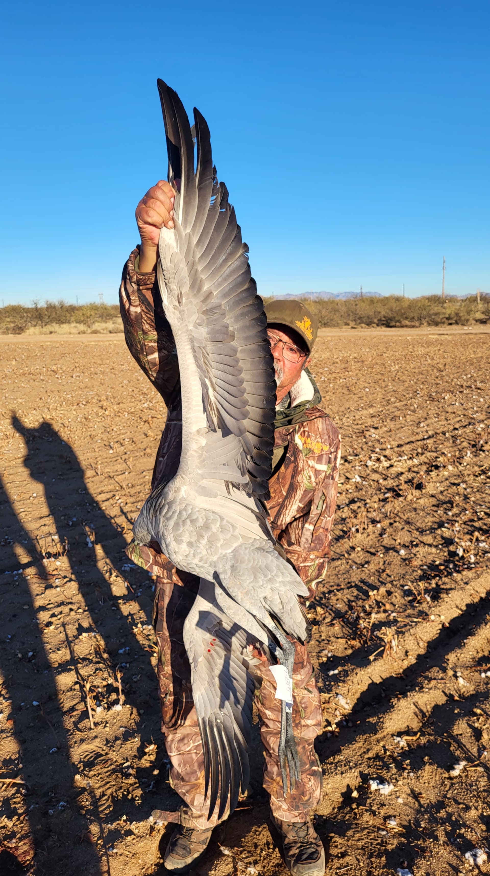 Sandhill crane hunting photo 5 - Arizona hunting with AZ B and B Outfitters LLC