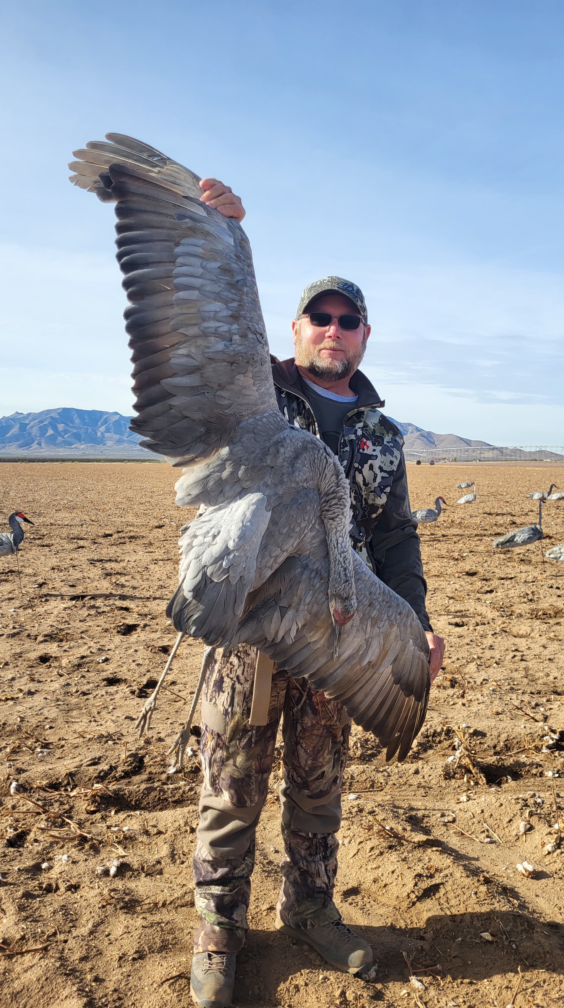 Sandhill crane hunting photo 9 - Arizona hunting with AZ B and B Outfitters LLC