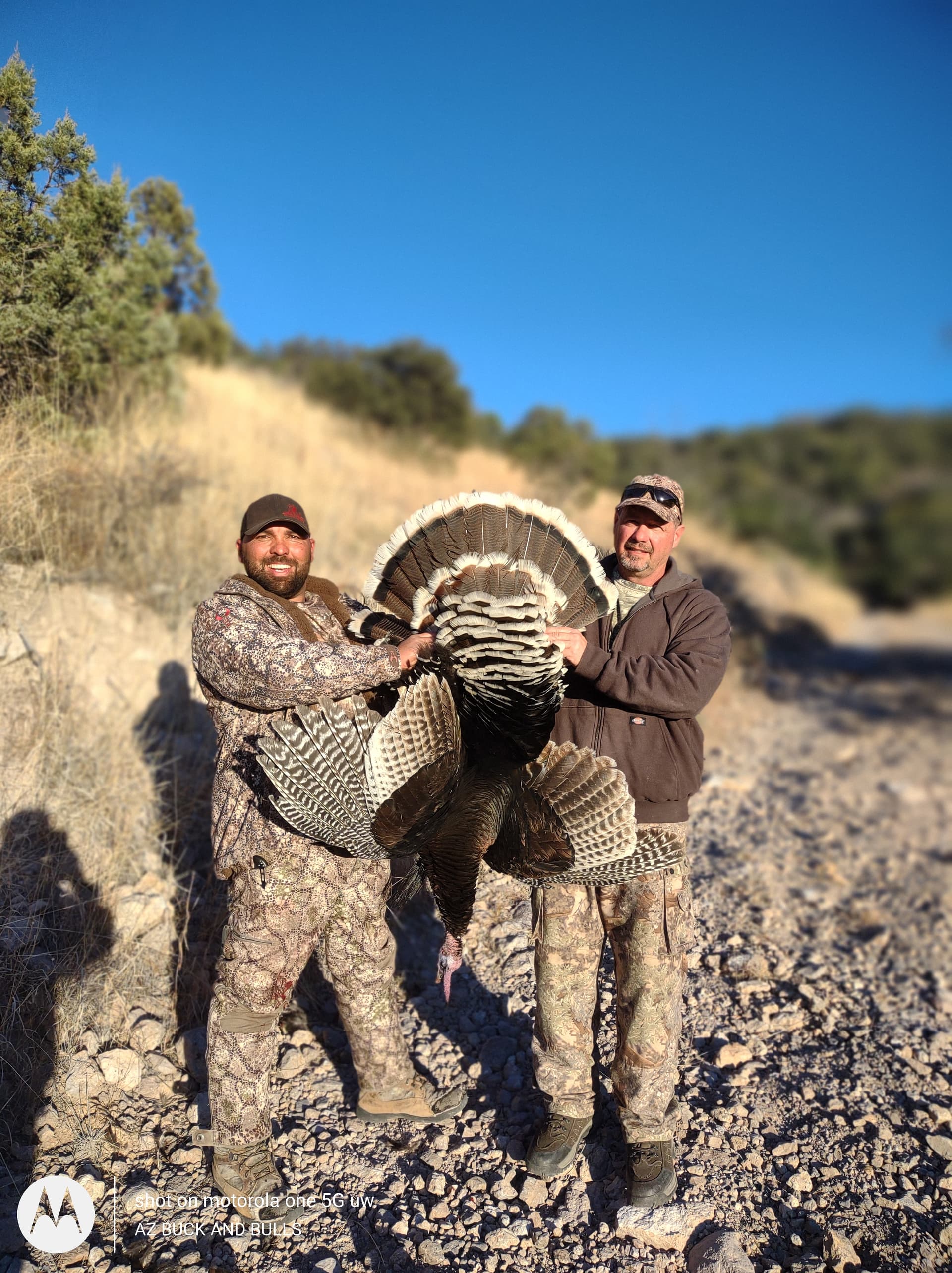 Turkey hunting photo 2 - Arizona hunting with AZ B and B Outfitters LLC