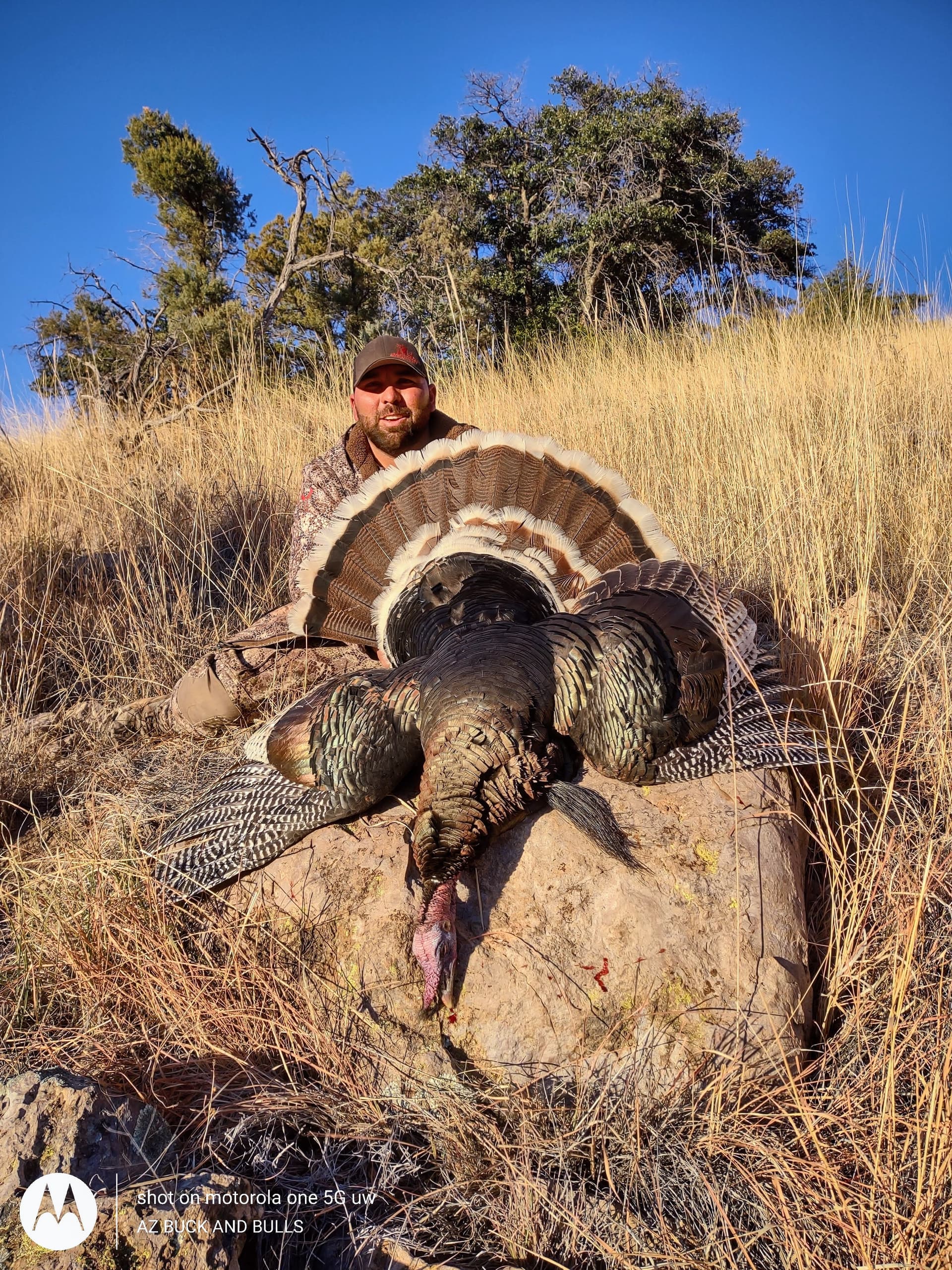 Turkey hunting photo 3 - Arizona hunting with AZ B and B Outfitters LLC