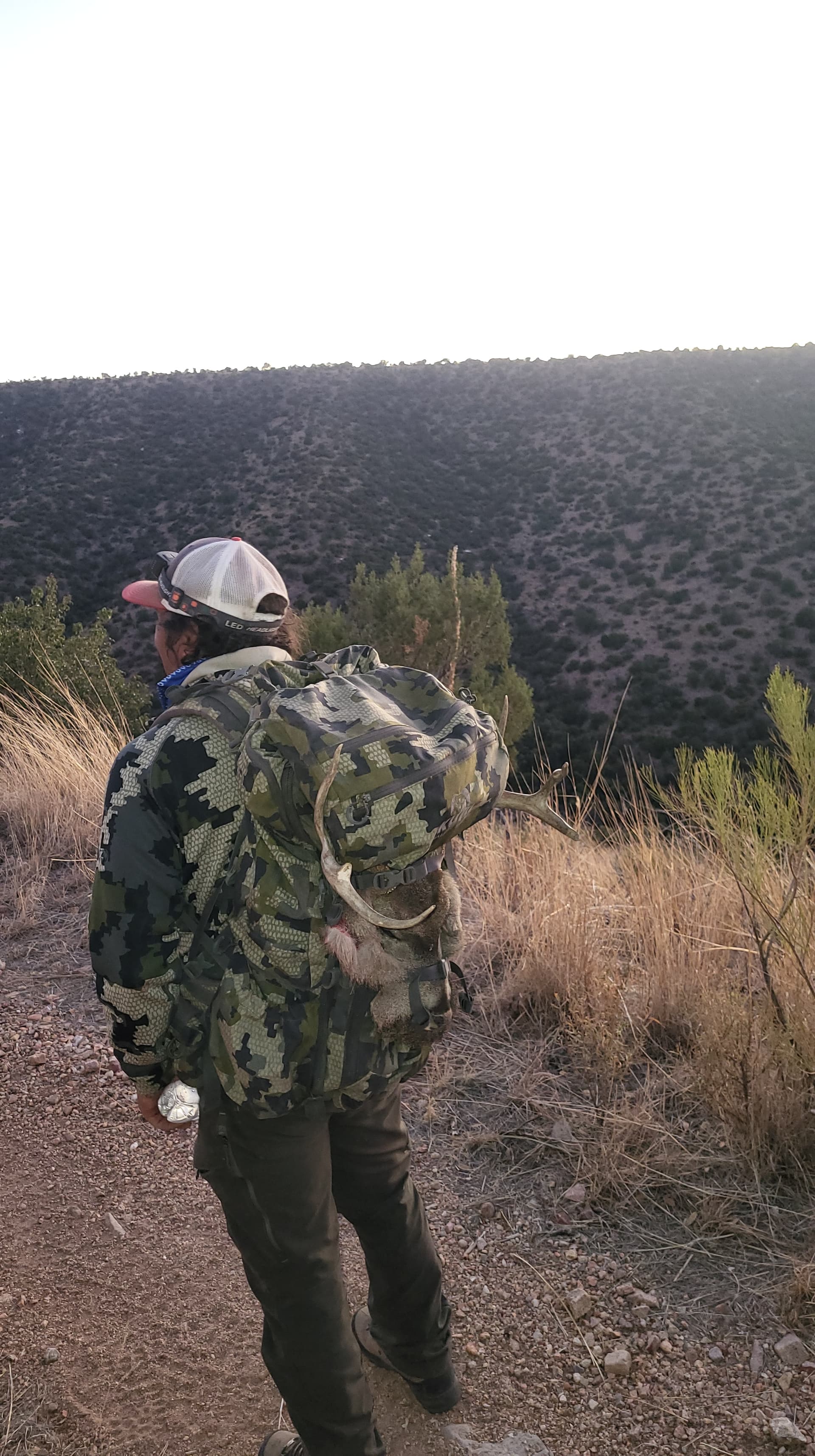 Coues deer hunting photo 25 - Arizona hunting with AZ B and B Outfitters LLC