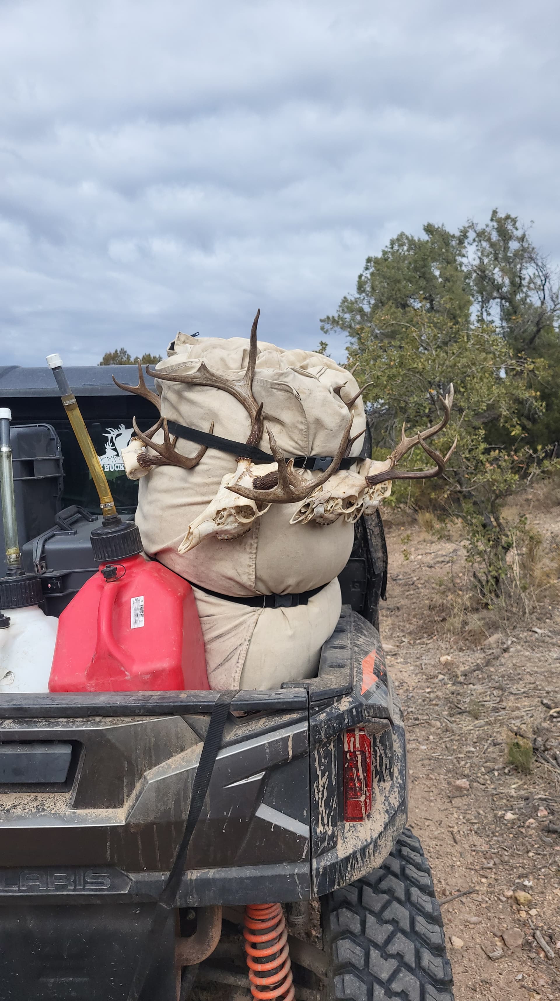Coues deer hunting photo 26 - Arizona hunting with AZ B and B Outfitters LLC