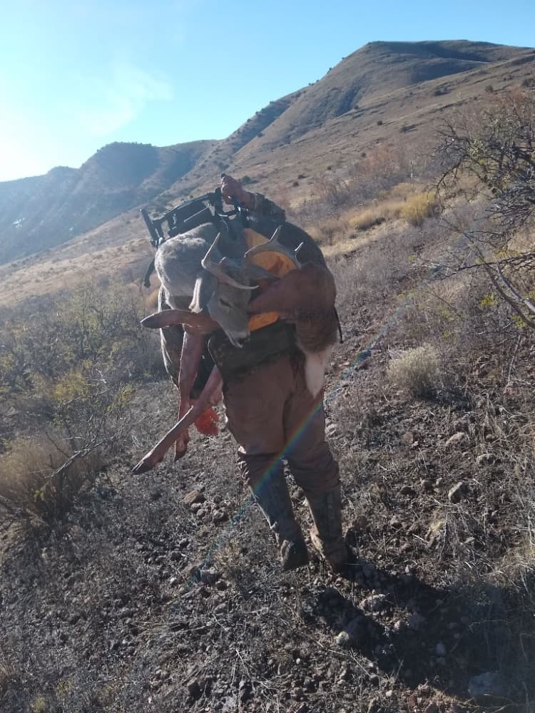 Coues deer hunting photo 3 - Arizona hunting with AZ B and B Outfitters LLC